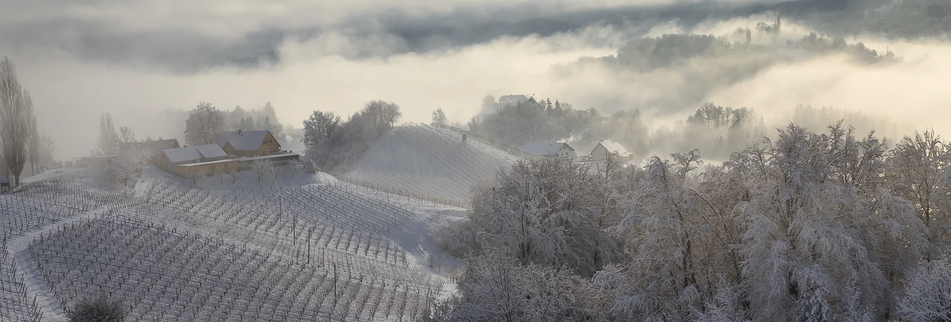 Winter in wine country | © Steiermark Tourismus | Wolfgang Jauk