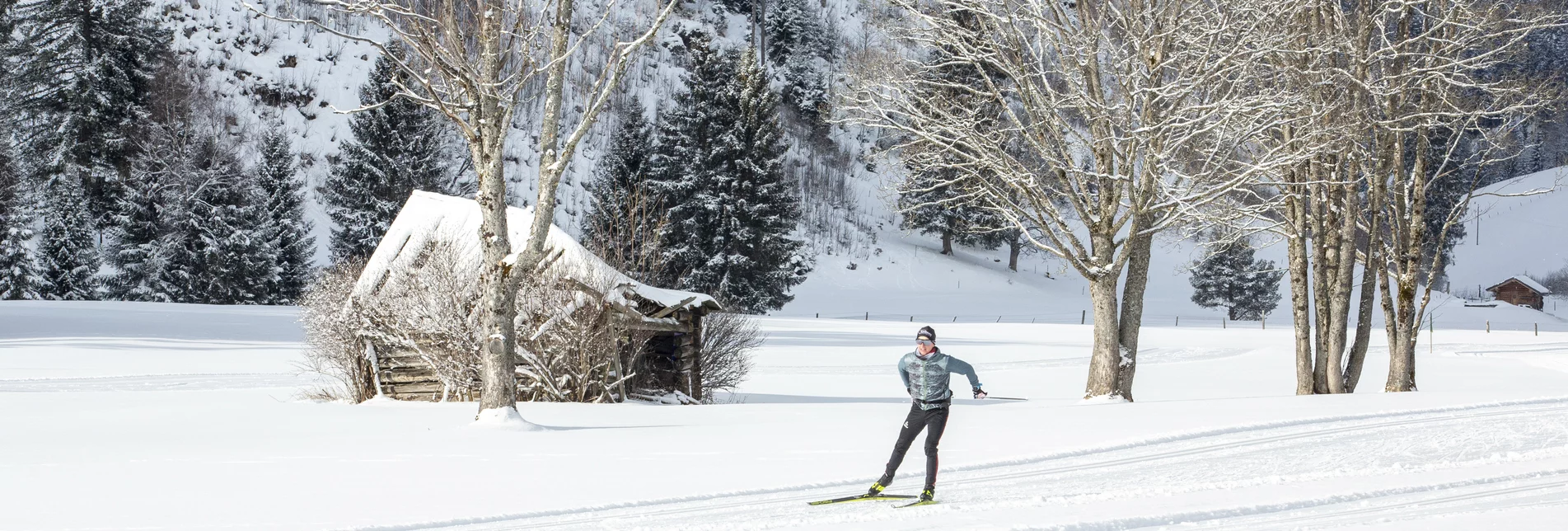 PackageCross country winterhit - Experience nature in Ramsau