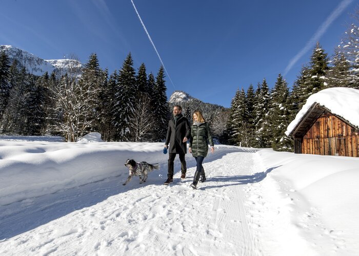 Winter walk with a dog in the region Ausseerland, to the Blaa-Alm | © Steiermark Tourismus | Tom Lamm