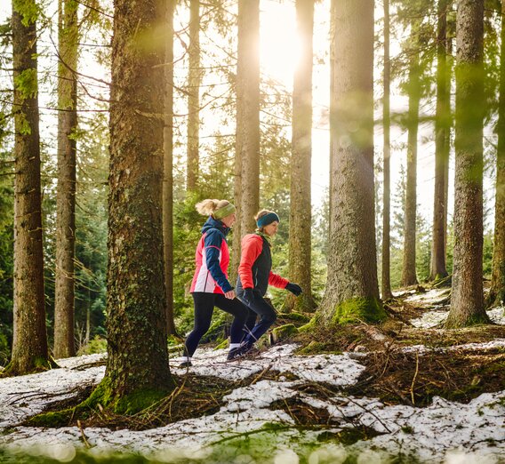 Winterwandern in den Wäldern der Südsteiermark | © Südsteiermark | Michael Königshofer