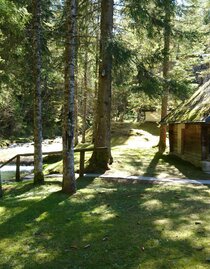 Waldsauna mit Kneipbecken