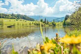 Badesee Mühlen | © Tourismusverband Murau