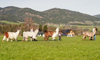 Binderhof-Wanderung1-Murtal-Steiermark | © Binderhof