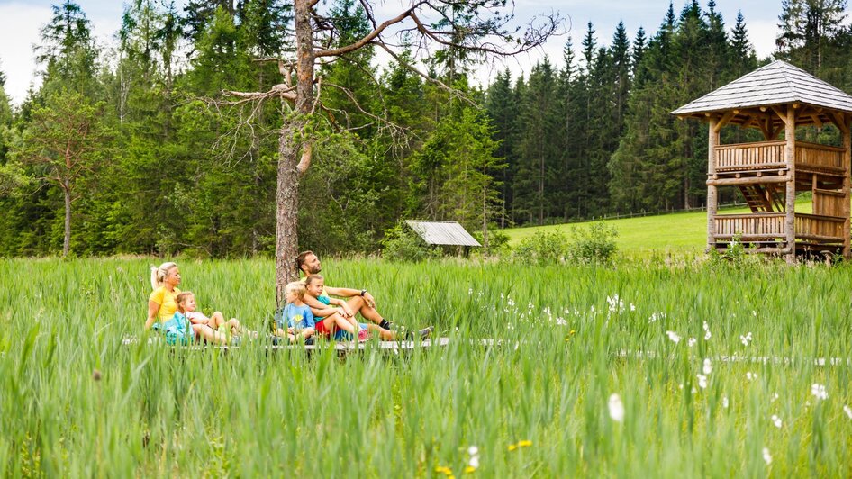 Ausflugsziel Dürnberger Moor | © Tourismusverband Murau