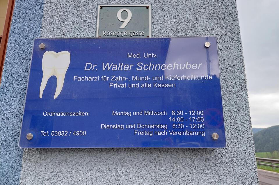 Dr. Walter Schneehuber - Impression #1