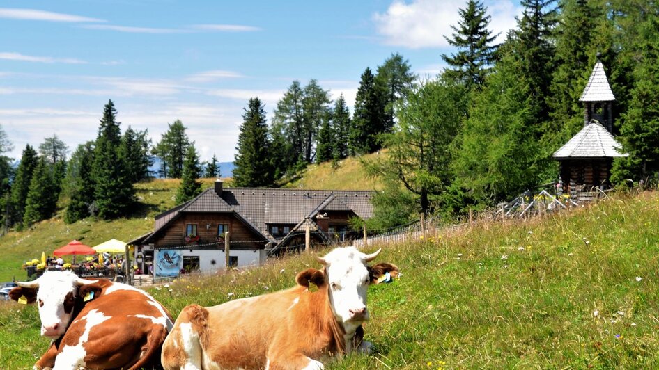 Ansicht mit Kühen | © Dreiwiesenhütte