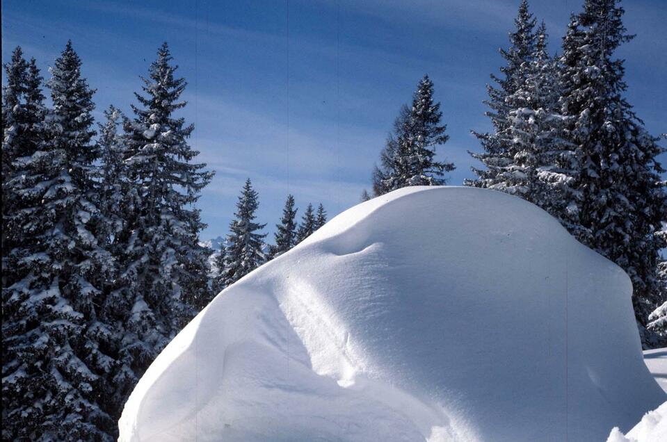 Eisstockbahn Gasthaus Wies´n - Impression #1 | © TVB Ausseerland - Salzkammergut_Pirker