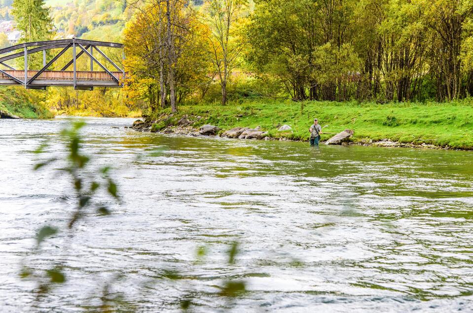 Fischen im Stau Bodendorf - Impression #1 | © Tourismusverband Murau