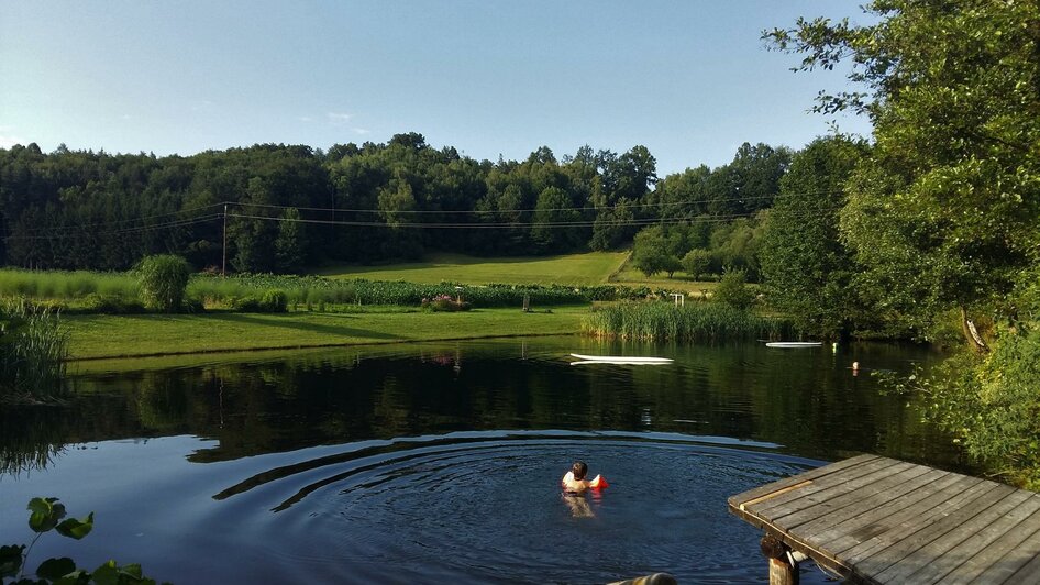 Schwimmen inmitten der Natur | © Rauch-Hof