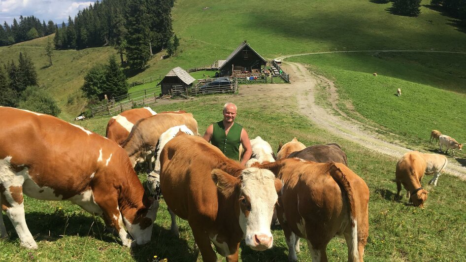 Hofbauer Almhütte_Rinder_Oststeiermark | © Hofbauer Almhütte