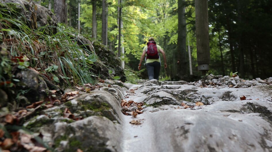 Prügelweg_Furche_Oststeiermark | © Tourismusverband Oststeiermark