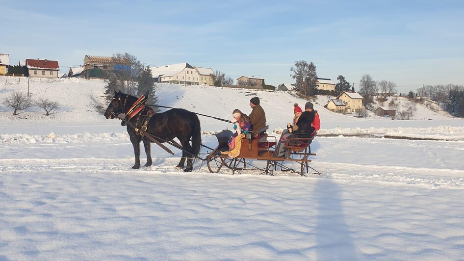 Deutinger-Kutschenfahrt4-Murtal-Steiermark | © Familie Deutinger