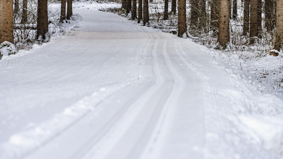 Langlaufzentrum-Hoftal-Loipe3-Murtal-Steiermark | © Anita Fössl