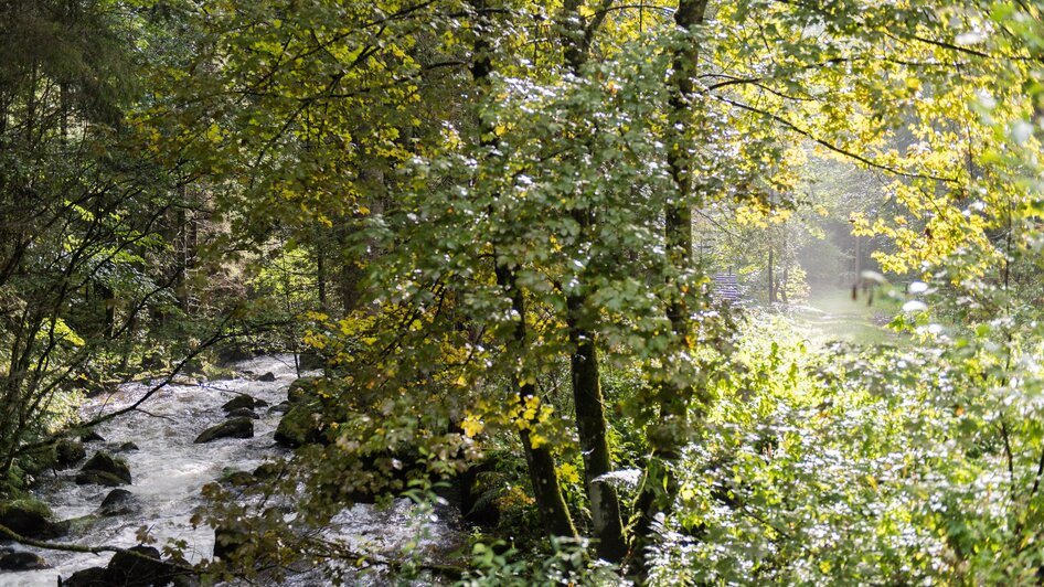 GranitzenbachSchaumühle-Ansicht4-Murtal-Steiermark | © Anita Fössl