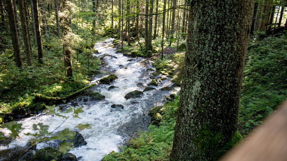 GranitzenbachSchaumühle-Ansicht6-Murtal-Steiermark | © Anita Fössl