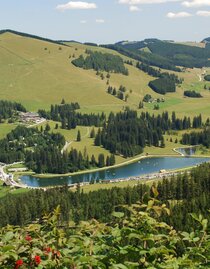 Almenland_Teichalmsee_Oststeiermark | © Naturpark Almenland | Berghofer | © Naturpark Almenland