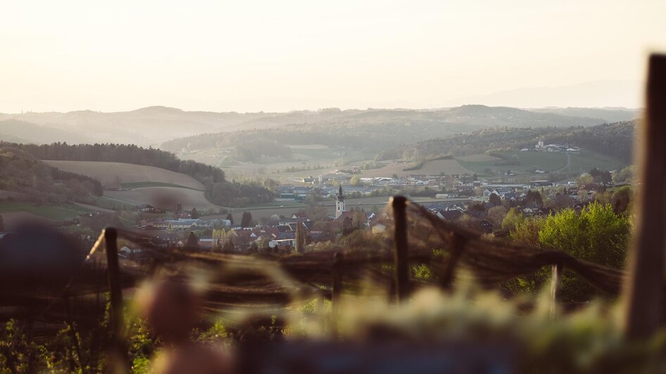 Ausblick über die Obstgärten nach Gnas | © Obstbau Haas, Alex Winkler