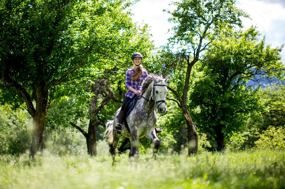 Pferdehof Jessner - Impression #1 | © Tourismusverband Murau