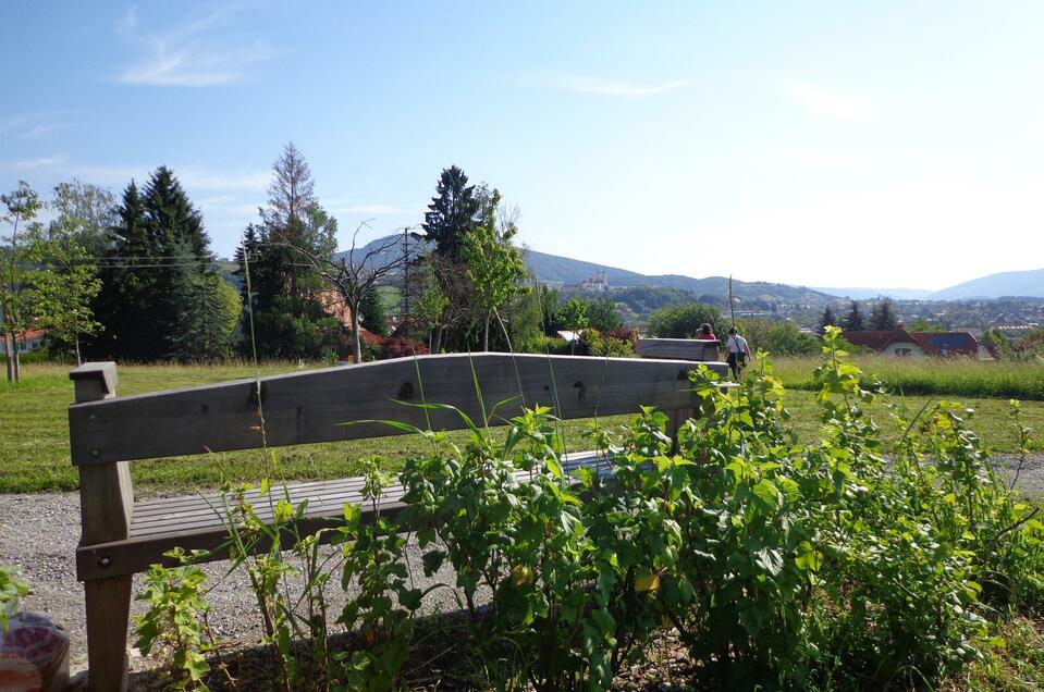 Picnic at Hofbauer Landscape Park - Impression #1 | © Tourismusverband Oststeiermark