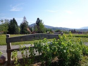 Hofbauer Landscape Park_Shrubs_Eastern Styria | © Tourismusverband Oststeiermark