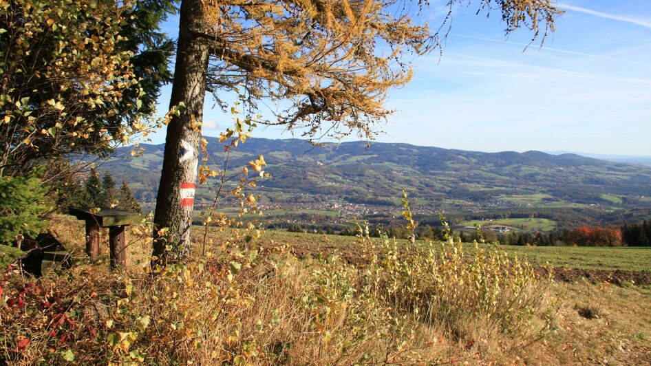 Rastplatz Jochbauer Höhe_Bankerl_Oststeiermark | © Hermann Auerbäck