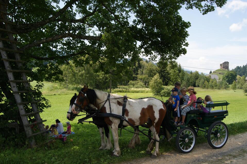 Riding at the Gasthof eitner - Impression #1 | © Tourismusverband Murau