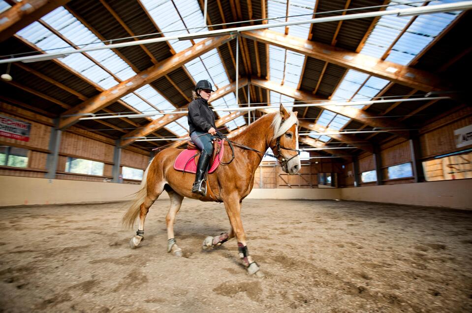 Riding hall Schöder - Impression #1 | © Holzwelt Murau