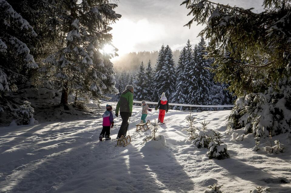 Rodeln am Kreischberg - Impression #1 | © Steiermark Tourismus