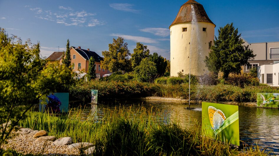 Schölbingerturm in Hartberg | © Oststeiermark Tourismus