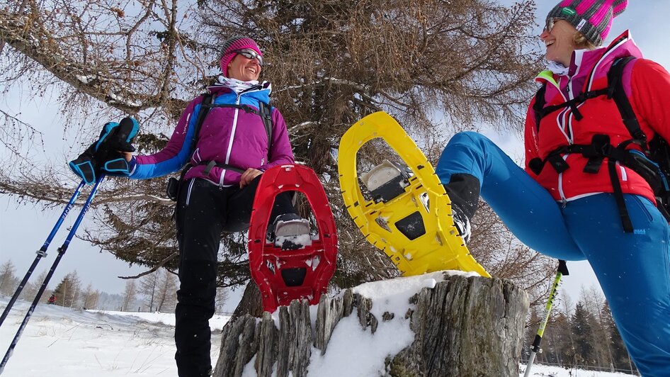 Kleinlobming-Schneeschuhwandern3-Murtal-Steiermark | © Firma Weges