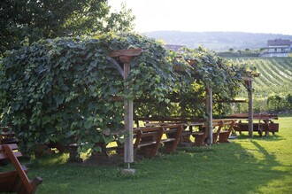 Garten mit herrlicher Aussicht | © Schilcherland Steiermark