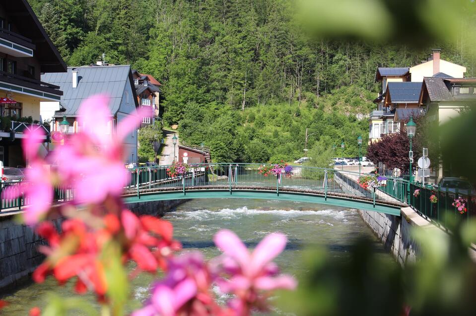 Trafik Köberl im Kurpark - Impression #1 | © TVB Ausseerland Salzkammergut