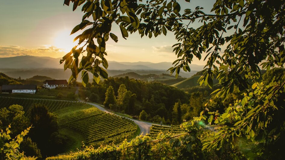 Weingut-Gaestehaus-Wildbacher Sonnenuntergang | © Weinbauernhof Wildbacher | Fam. Wildbacher