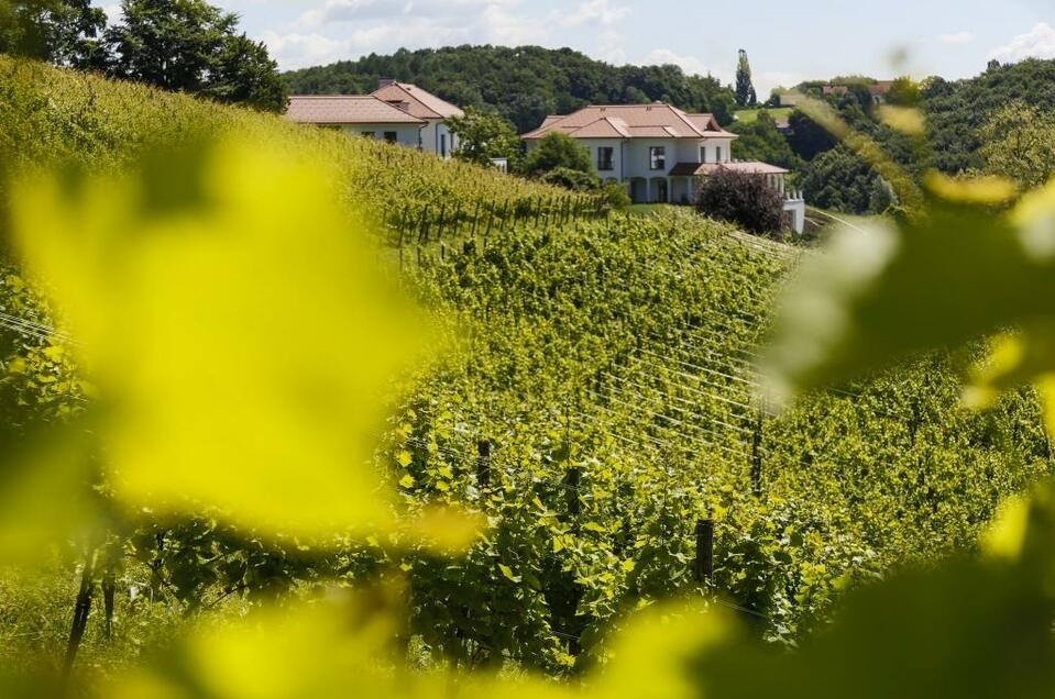 Weingut Hirschmugl - Domäne am Seggauberg - Impression #1 | © Weingut Hirschmugl