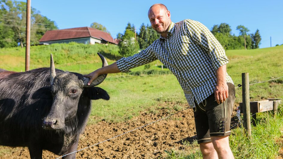 Mahorko Wasserbüffel | © Hemlut Valentin Mahorko | Weingut Hotel Mahorko