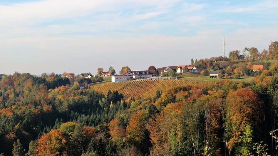 Schantl_Ausblick_Oststeiermark | © Buschenschank Schantl