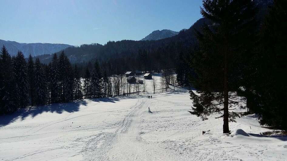 Blaa Alm, Altaussee, Wiesenwanderweg | © Petra Kirchschlager