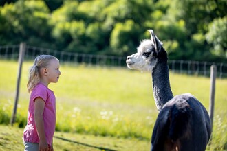 Mädchen mit Alpaka | © Tourismusverband Murau