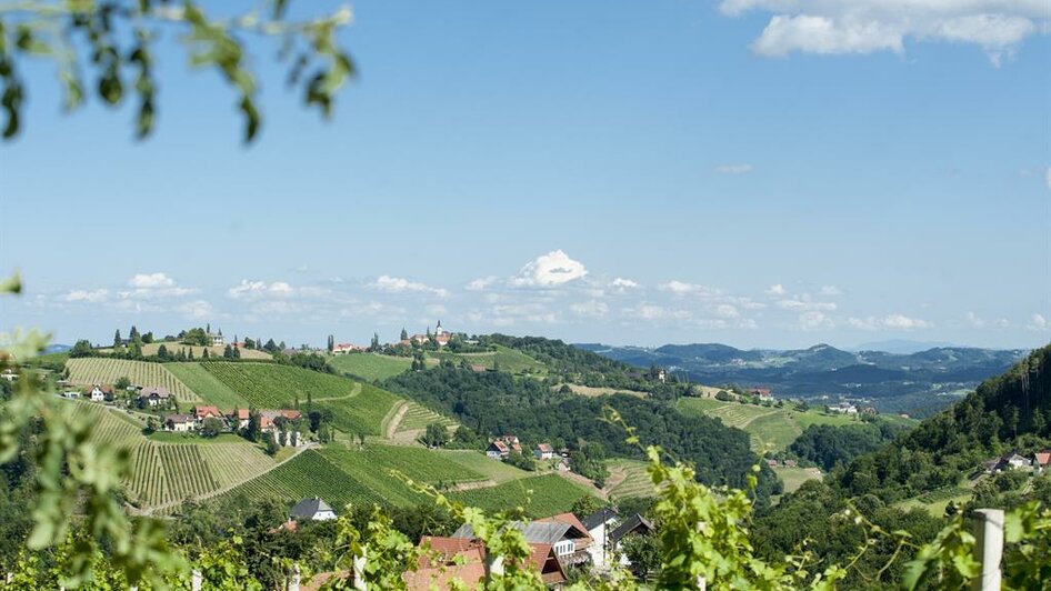 Lage mittem im Weinberg | © Karin Bergmann