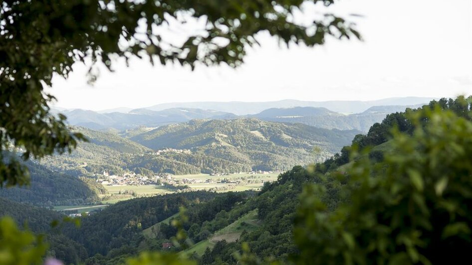 Aussicht vom Sitzgarten | © Karin Bergmann