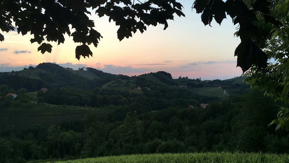 Sonnenuntergang am Weingut | © Weingut Schauer