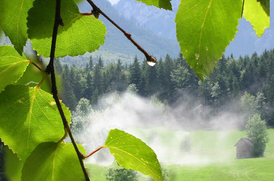 Fachinstitut für Heilmassage und Sporttherapie Stix Erik - Impression #1 | © TVB Ausseerland - Salzkammergut_Eva Griese