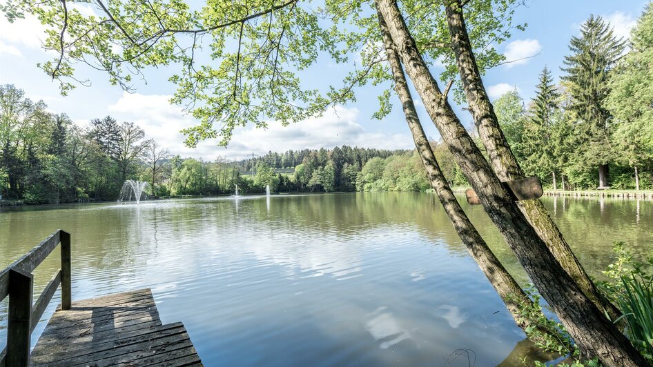 Grafenteich | © Die Abbilderei