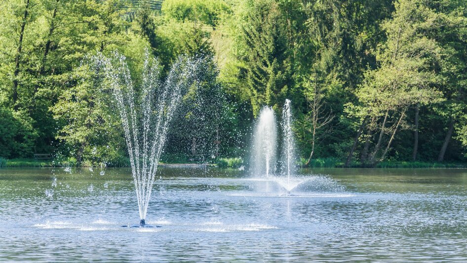 Springbrunnen_Grafenteich | © Die Abbilderei