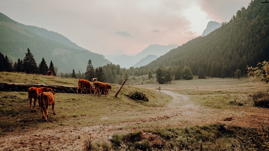 Landschaft | © GenussReich