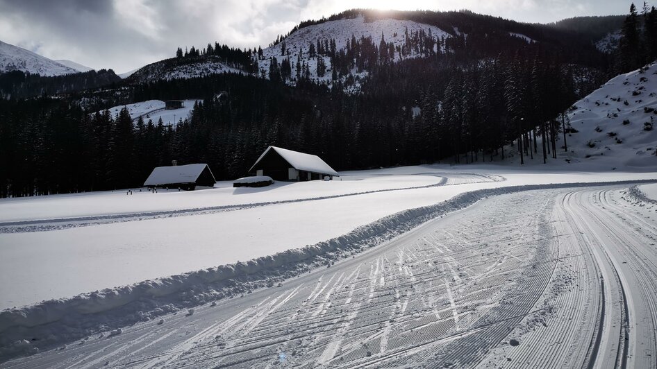 Langlaufloipe Eisenerzer Ramsau | © NAZ Ausbildungscampus GmbH