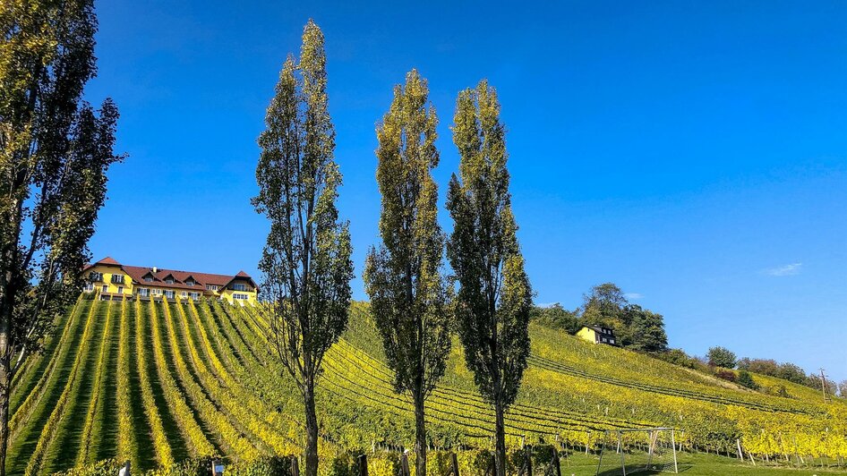 Herbst in Klöch