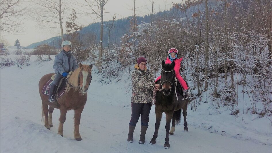 Guided pony hikes, Sulzbacher family - Impression #2.6