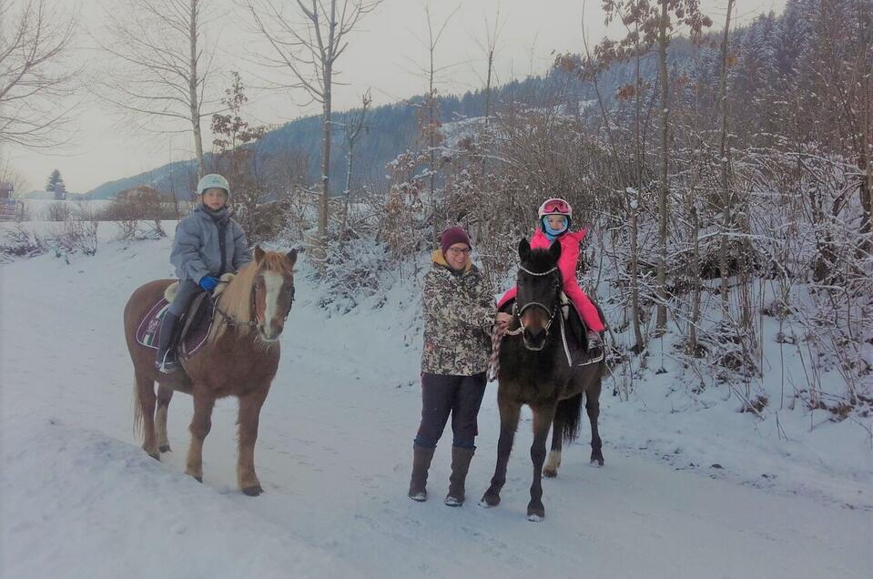 Guided pony hikes, Sulzbacher family - Impression #1