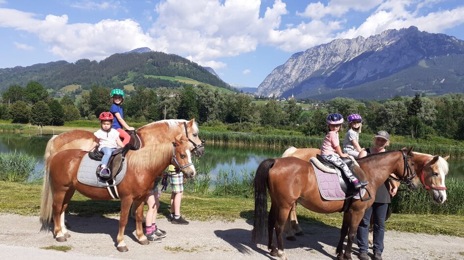 Guided pony hikes, Sulzbacher family - Impression #2.1